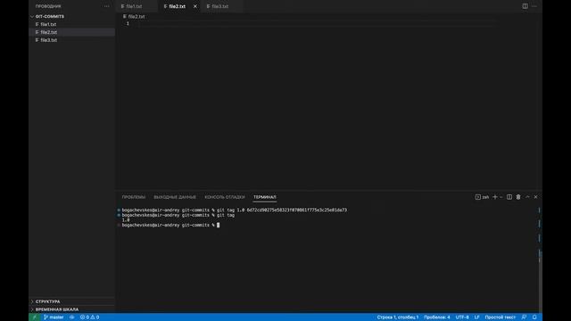 10.2 Git: Погружение в коммиты - теги смотреть онлайн
