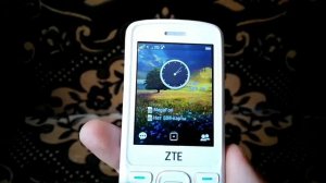 Обзор телефона ZTE F327 - или NOKIA по-китайски #1. Предварительный осмотр.