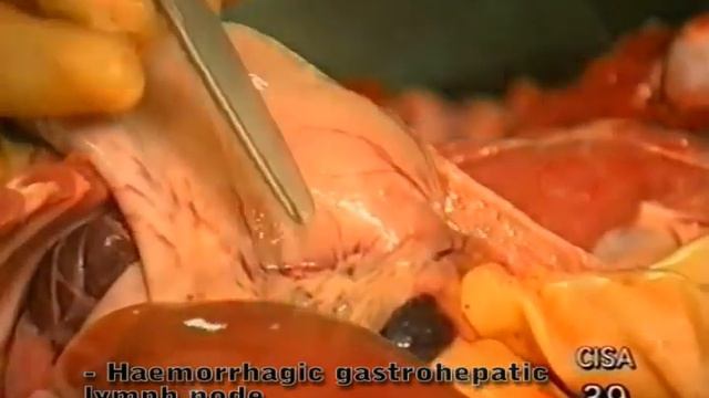 ASF смотреть онлайн