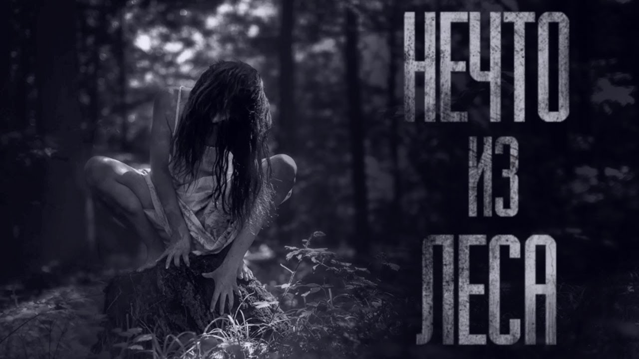 НЕЧТО БРОДИТ В ЛЕСУ... Страшные истории от Гробовщика. Истории на ночь. Мистика смотреть онлайн