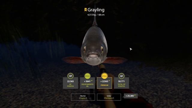 RUSSIAN FISHING 4: TROPHY GRAYLING 4,5 KG - ACTIVE SPOT IN BELAYA RIVER смотреть онлайн