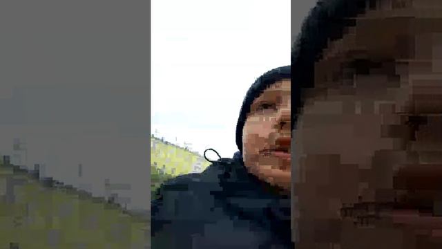 фестиваль северная ягода