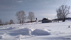 Томская область ,# д.86квартал , #тайга