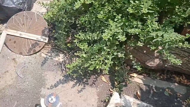 Ландшафтный дизайн.солнечные часы во дворе осмд Ковчег смотреть онлайн