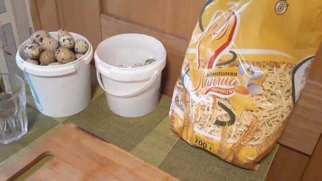 Спасаю кота,кошу газон,нашла грибы....