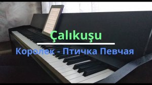 Çalıkuşu (Королек - Птичка Певчая)