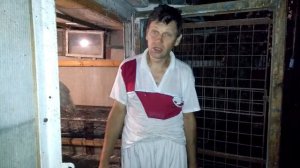 Индюки БИГ - 6. Где и на чём спать индюкам ночью. Сидала для индюков.