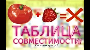 После каких овощей лучше не сажать? Таблица совместимости овощных культур!