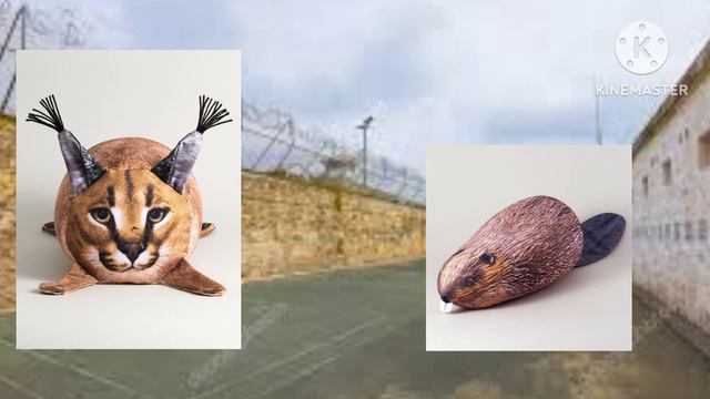 мир глазами шлёпы : тюрьма,новая подружка?! смотреть онлайн