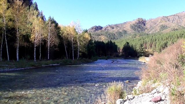 Река Катунь. Футаж релакс