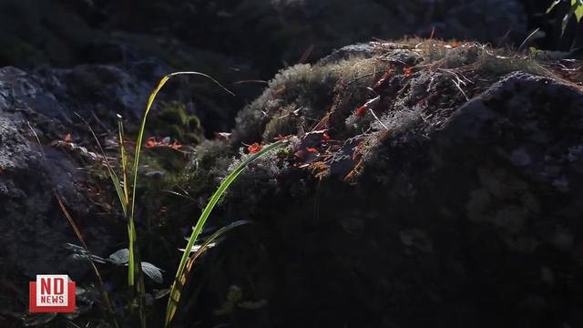 Висимский заповедник   День в заповеднике