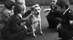 "Некрасивая девочка"