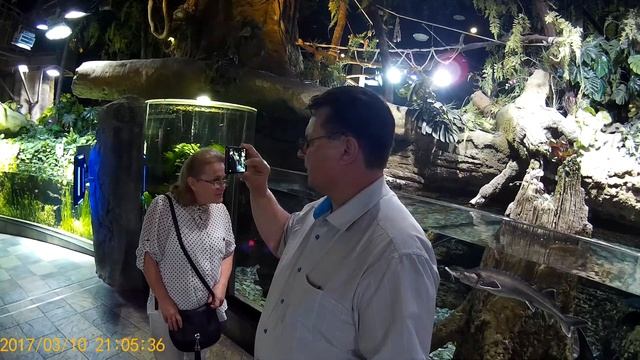 Самый большой аквариум в Дубае смотреть онлайн