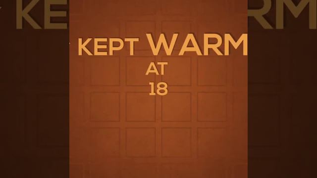 Alocasia zebrina смотреть онлайн