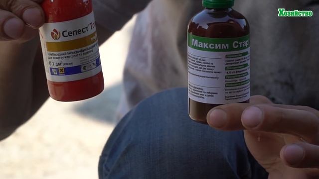 Картошка хранится долго и не портится смотреть онлайн