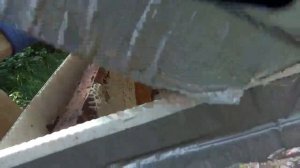 Моё устройство для переноски медовых рамок.