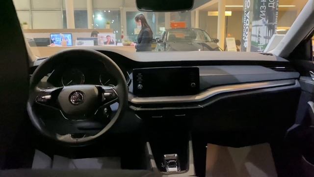 Честный отзыв шкодовода о новой SKODA OCTAVIA A8 2020 года за 1,8 млн рублей смотреть онлайн