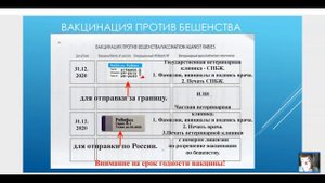 Как правильно заполнить ветеринарный паспорт, Кира Ковалева