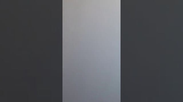 дверь белая
