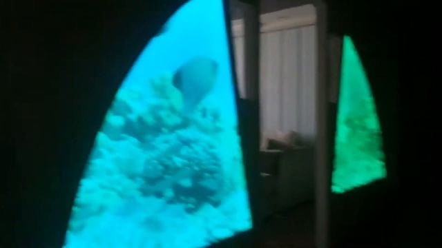 Натяжные потолки MaximuM смотреть онлайн