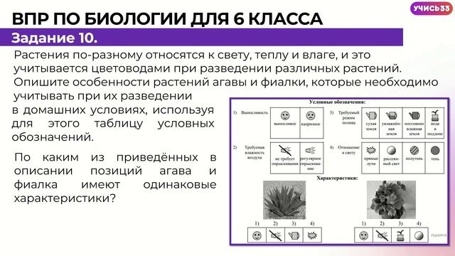 Система работы учителя биологии при подготовке к ВПР