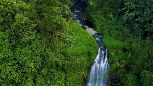 ♫ Лео Рохас Лучшее ♫ The Best Of Leo Rojas ♫