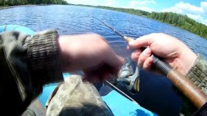 Скромная рыбалка - пруд д.Пантыл - Белая Холуница