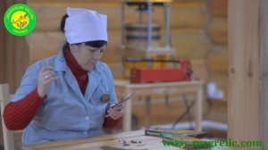 Родовая летопись -история начала - Звенящие Кедры