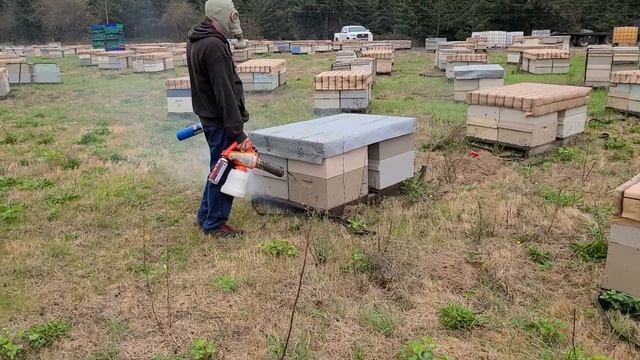 5 октября обработка дым пушкой смотреть онлайн