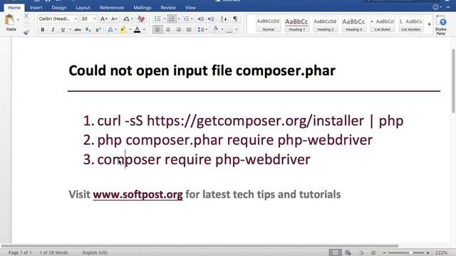 Could Not Open Input File Composer Phar