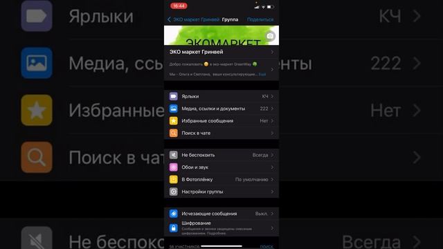 Как отключить уведомления и автосохранение в галерею в чате в WhatsApp смотреть онлайн