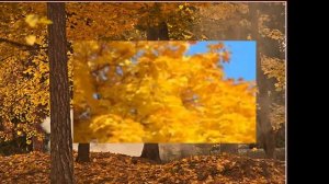 -ЛИСТЬЯ ЖГУТ-