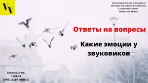 Какие эмоции у звуковиков. ВектораВсем. Проект Вячеслава Юнева