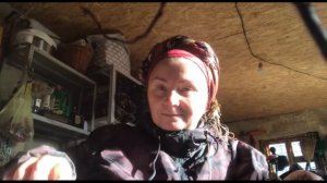 Зимние заботы.  Часть 2 Прививка роз по латвийскому методу.