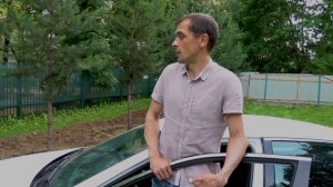 Как пересадить дерево летом