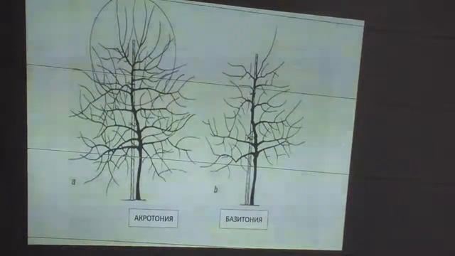 Семинар Комрат 06.02.2014 Манзюк Вал Вас Ч 2 смотреть онлайн