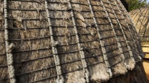 ЮАР деревня зулусов (деревня племени Зулу). Африка.