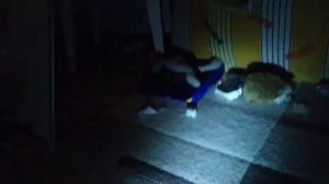 пять ночей у ёжика 😨 😨 😨 камера 🎥 и солнце 🌞 с луной🌛