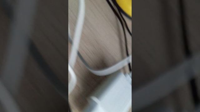 24 ноября 2023 г. смотреть онлайн