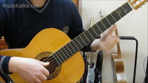 Ваше благородие - аккорды, вступление, соло