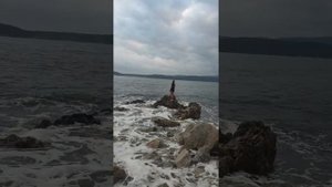 Приморье. Лето 2019. Волчанец.