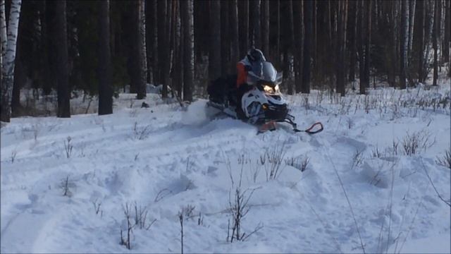 Покатушки Челны LYNX 49 RANGER 2016 1 смотреть онлайн