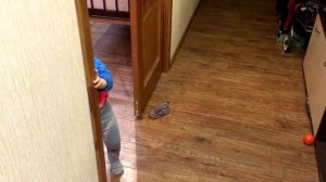 УЧИМ РЕБЁНКА ХОДИТЬ