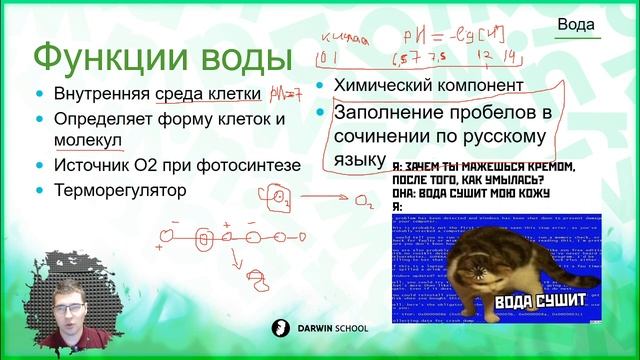 Тема 8: Особые свойства воды