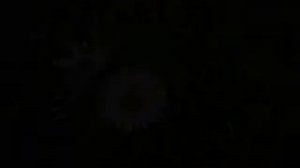 Зачем человеку семья