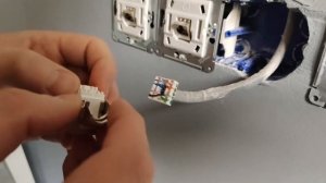 Установка интернет розетки 6 категории Schneider electric Atlas Design