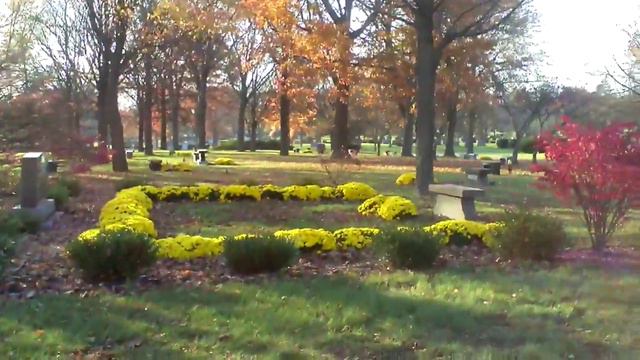 BEA at Acacia Park смотреть онлайн