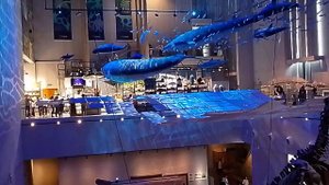 Гуанчжоу.Музей.Динозавры 2.