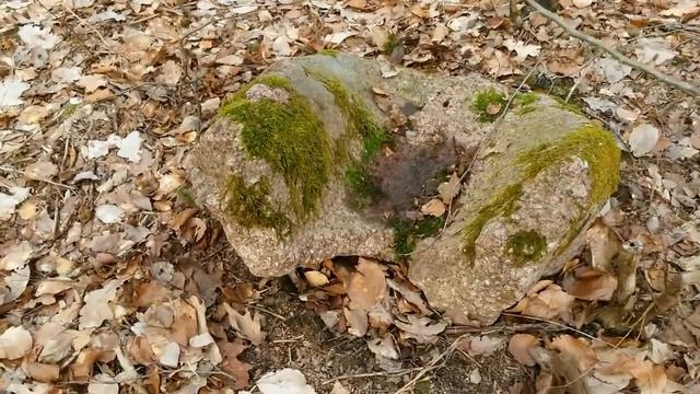 В лесу на линии фронта 1945 года..Калининград.Im Wald an der Frontlinie von 1945 .. Kaliningrad. смотреть онлайн