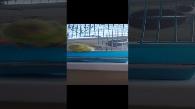 Стеша отрывается 🤣 смотреть онлайн